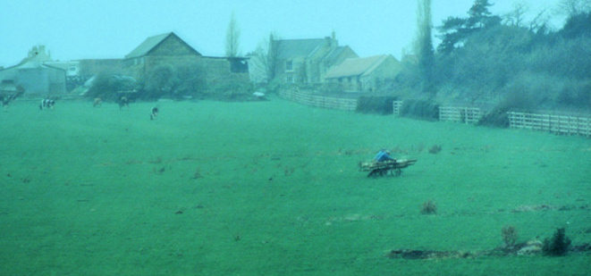 strikers hauling wood